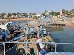 PXL_20251103_062444687