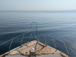 PXL_20251103_062631807