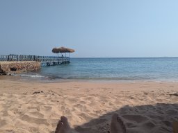 PXL_20251109_081844121