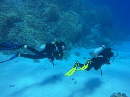 SportDiver_20251102_131218