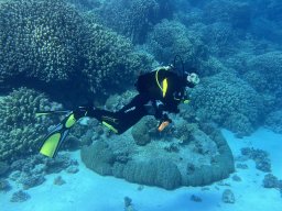 SportDiver_20251102_131417