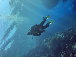 SportDiver_20251104_104219