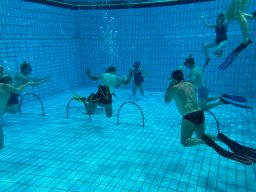 SportDiver_20251220_110812