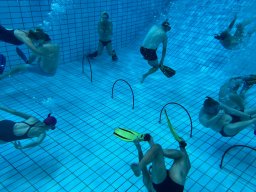 SportDiver_20251220_111046