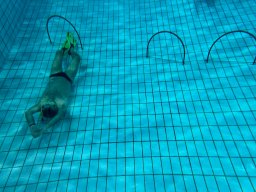 SportDiver_20251220_111829