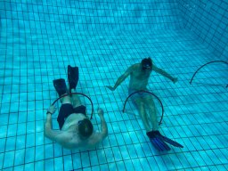 SportDiver_20251220_111844