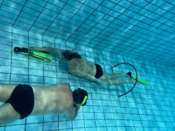 SportDiver_20251220_112026