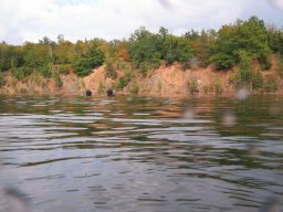 Wildschütz See &amp; Tana 2025