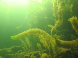 Wildschütz See &amp; Tana 2025