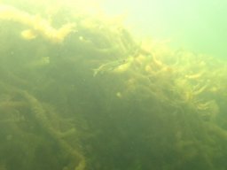 Wildschütz See &amp; Tana 2025