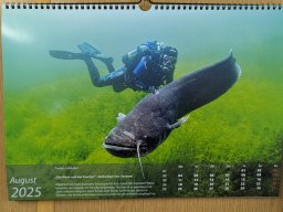 Wildschütz See &amp; Tana 2025