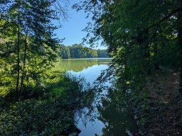 Wildschütz See &amp; Tana 2025