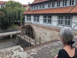 Wildschütz See &amp; Tana 2025